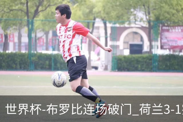 世界杯-布罗比连场破门 荷兰3-1突尼斯获小组头名将战摩洛哥